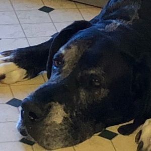 Meet your Posher, Toya